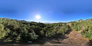West facing view from standing on the East side of the lot/bottom of the hill from the entrance)