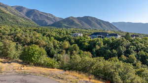View of lot standing in the cul-de-sac