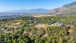 Lower view from above the SW side of the lot (approximate lot lines drawn in)