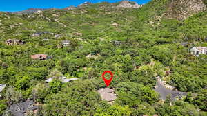 Aerial view of a forest and a mountainous background