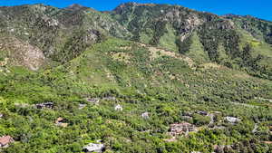 View of mountain backdrop featuring a forest