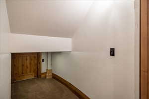 Additional living space featuring carpet floors and vaulted ceiling
