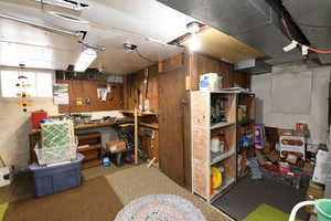 Below grade area featuring a workshop area