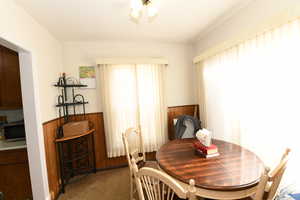 Dining room with a wainscoted wall, carpet, and wood walls