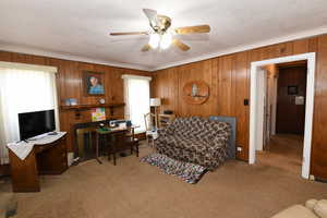 Living area with healthy amount of natural light, carpet floors, ceiling fan, and wood walls