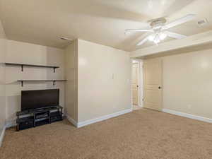 Basement Bedroom