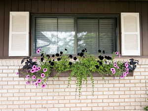Exterior view of brick siding