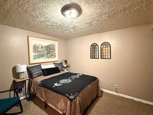 Carpeted den with baseboards and a textured ceiling