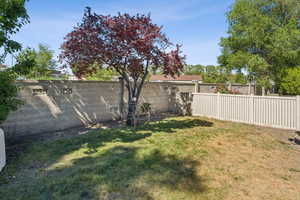 View of fenced backyard