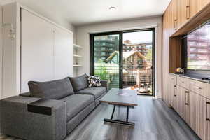 Living room featuring dark wood-style floors