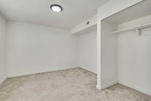 Unfurnished bedroom featuring carpet flooring and a textured ceiling