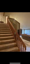 Stairs with carpet flooring