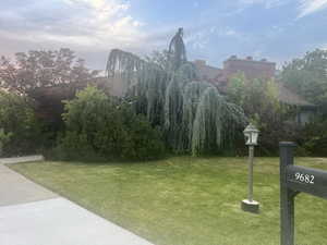 View of green lawn