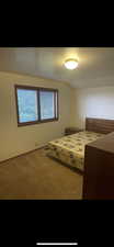Bedroom featuring carpet flooring and vaulted ceiling