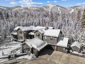 Snowy aerial view featuring a mountain view and a view of trees