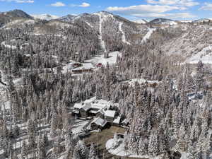 Snowy aerial view with a mountain view and a wooded view
