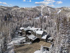 Snowy aerial view with a wooded view and a mountain view