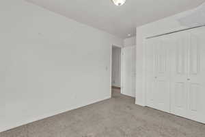 Unfurnished bedroom featuring carpet flooring and a closet