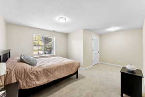 Bedroom with light colored carpet and baseboards