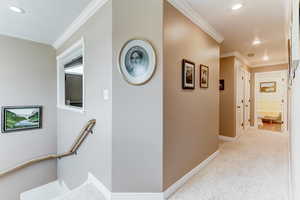 Hallway featuring crown molding, recessed lighting, and carpet flooring