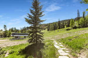 View of yard with a forest view