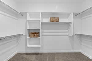 Spacious closet featuring carpet flooring