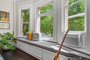 Detailed view of ornamental molding and cooling unit