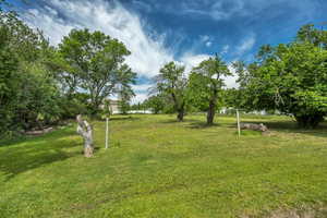 View of grassy yard with mature trees
