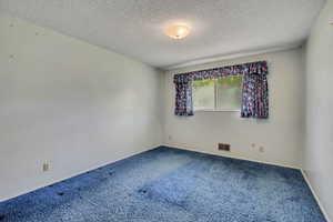 Carpeted spare room featuring a textured ceiling and baseboards