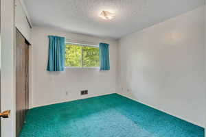 Unfurnished bedroom with carpet flooring, a textured ceiling, and a closet