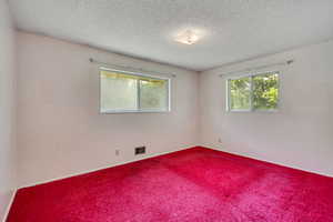 Empty room with carpet floors, a textured ceiling, and healthy amount of natural light