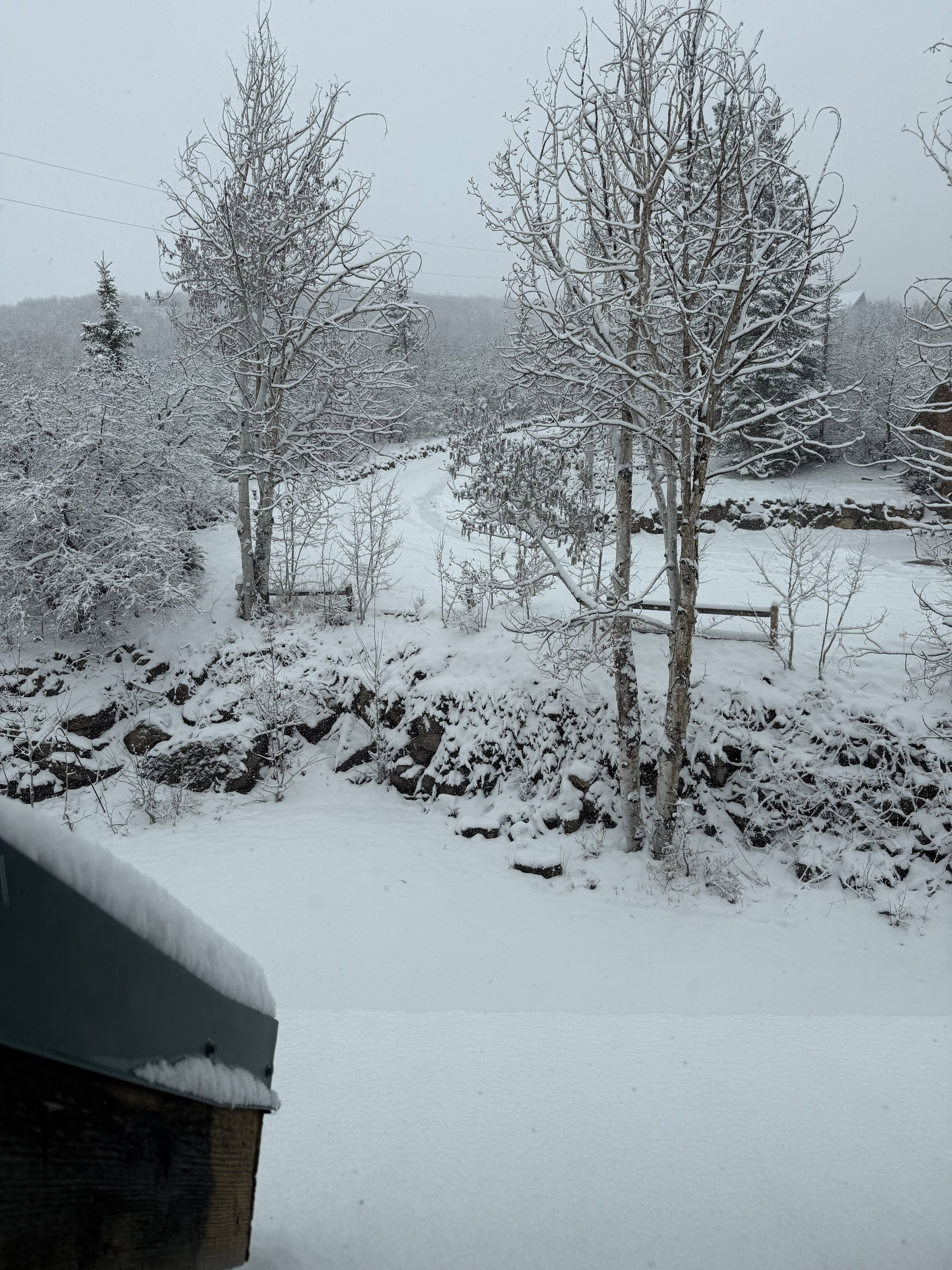 View of yard covered in snow