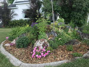 View of one of the island flowerbeds.