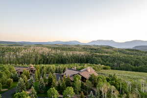 View of mountain backdrop featuring a heavily wooded area