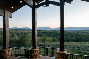 View of mountain backdrop with a forest