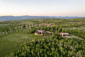 Aerial view at dusk of a forest view and a mountain view