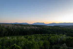View of mountain background with a forest