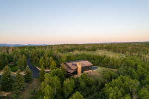 Aerial view at dusk of a forest view
