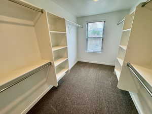 Spacious closet featuring dark carpet