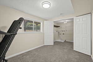 Basement bedroom (bedroom 4) with walk-in closet/laundry