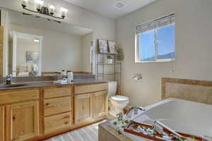 Bathroom with a garden tub and vanity