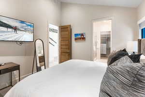 Bedroom with lofted ceiling, a spacious closet, and a closet