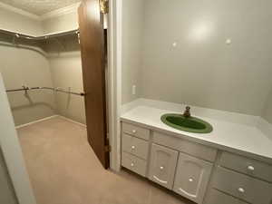 Master Bathroom featuring crown molding, vanity, and a walk in closet