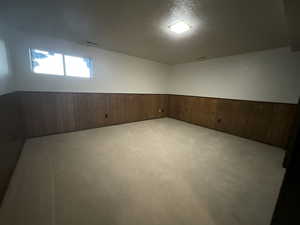 Basement with a wainscoted wall, wooden walls, carpet, and a textured ceiling