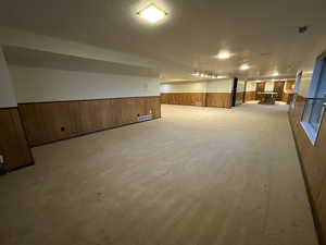 Walkout daylight basement  featuring wood walls, wainscoting, and carpet