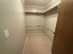 Master Bedroom Walk in closet featuring carpet floors