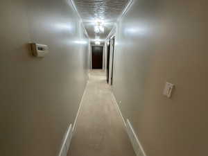 Corridor featuring light colored carpet, crown molding, and a textured ceiling