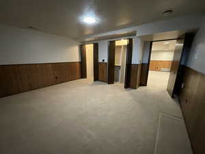 Finished basement with wainscoting, wood walls, and light carpet