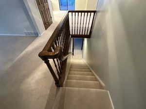 Stairway with baseboards and carpet flooring going to basement