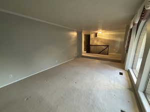 Unfurnished room featuring baseboards and carpet flooring
